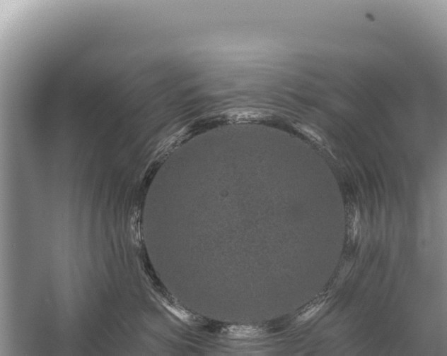 X0000059240766200510211602