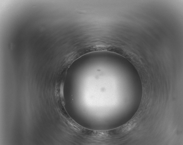 X0000059240768200510211602