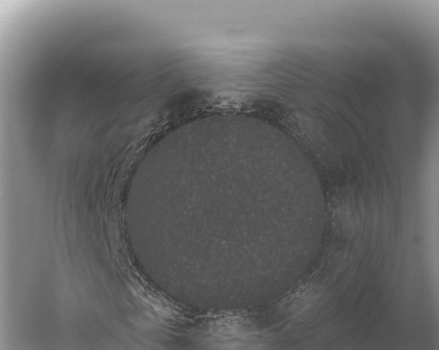 X0000059240769200510211601