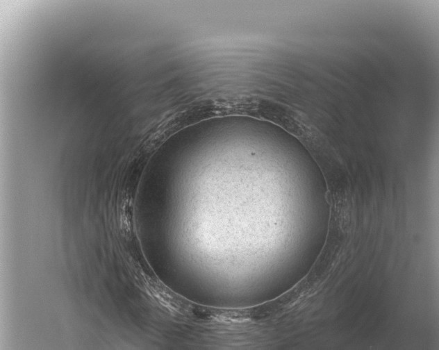 X0000059240770200510211601