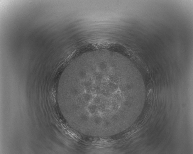 X0000059240772200510211601