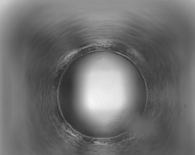 X0000059240773200510211601