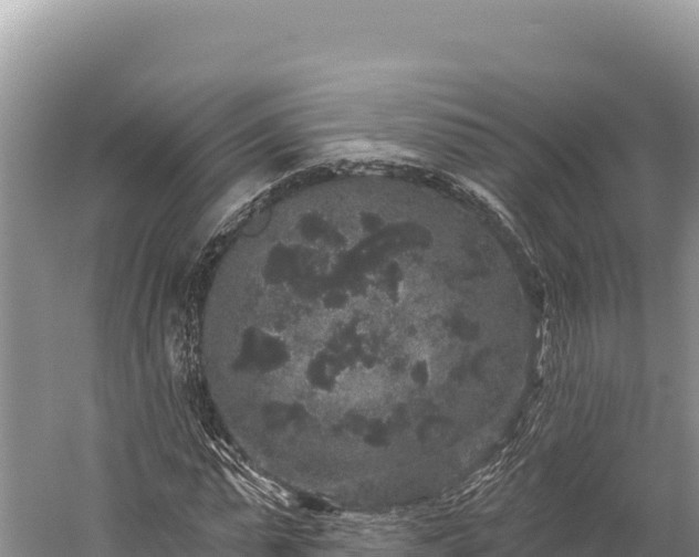 X0000059240775200510211601