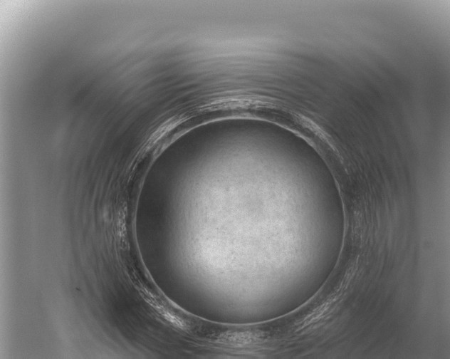 X0000059240778200510211601