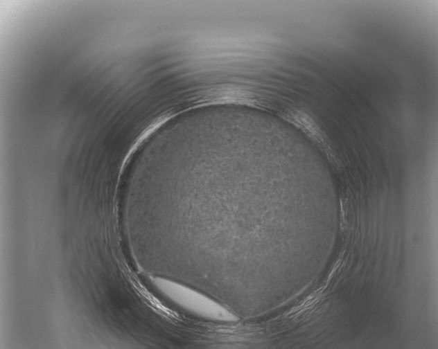 X0000059240780200510211601