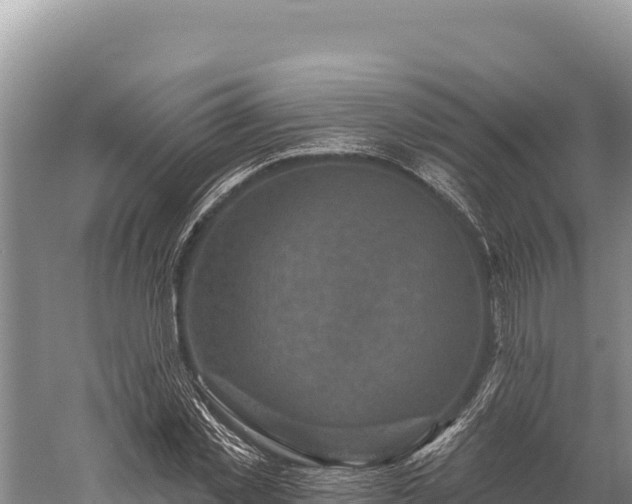 X0000059240781200510211601