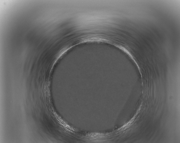 X0000059240783200510211601