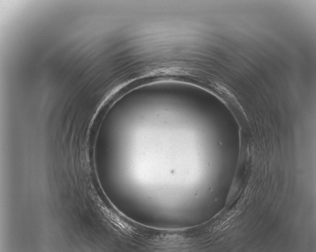 X0000059240784200510211601