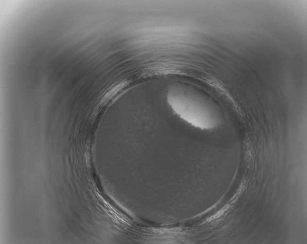 X0000059240785200510211601