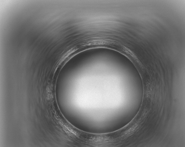 X0000059240786200510211601