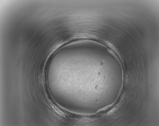 X0000059240787200510211601