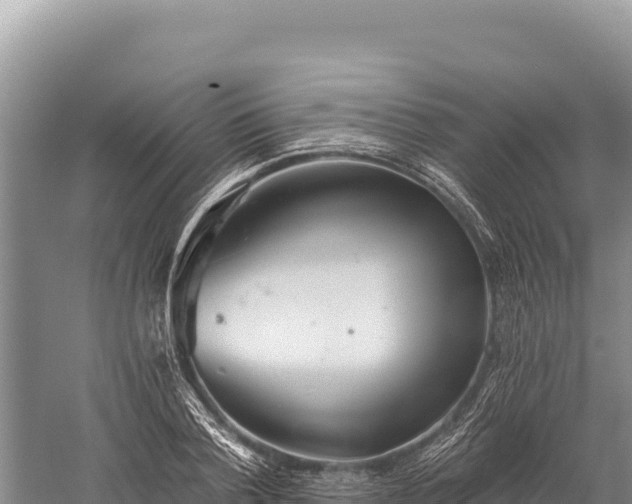 X0000059240788200510211601