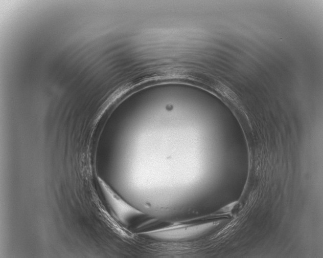 X0000059240789200510211601