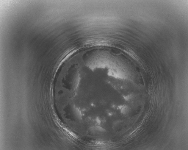 X0000059240790200510211601