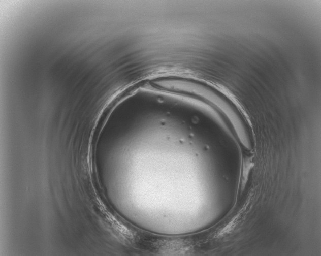 X0000059240791200510211601