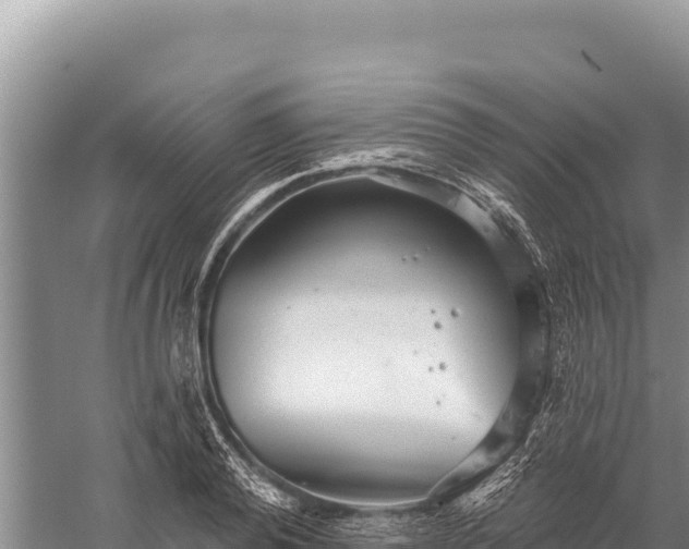 X0000059240792200510211601