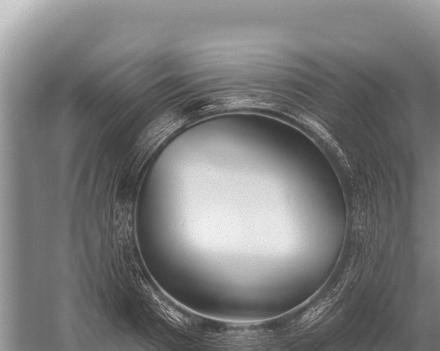 X0000059240793200510211601