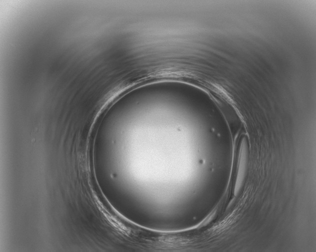 X0000059240795200510211601