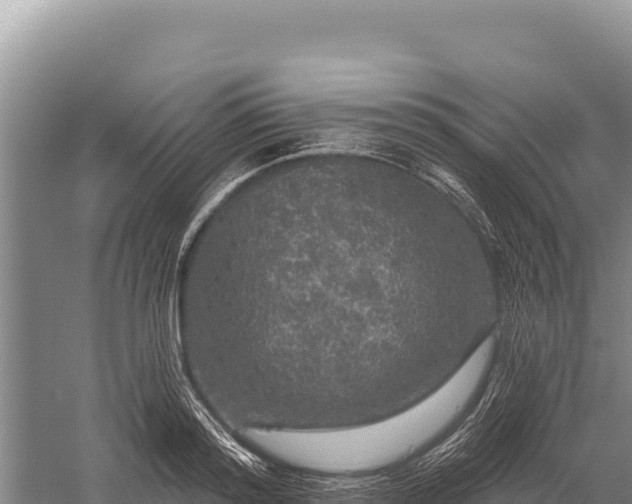 X0000059240796200510211601