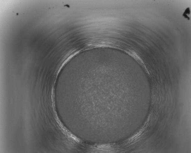 X0000059240798200510211601