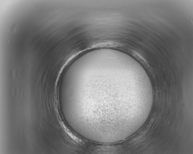 X0000059240800200510211601