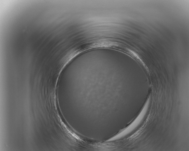 X0000059240802200510211601