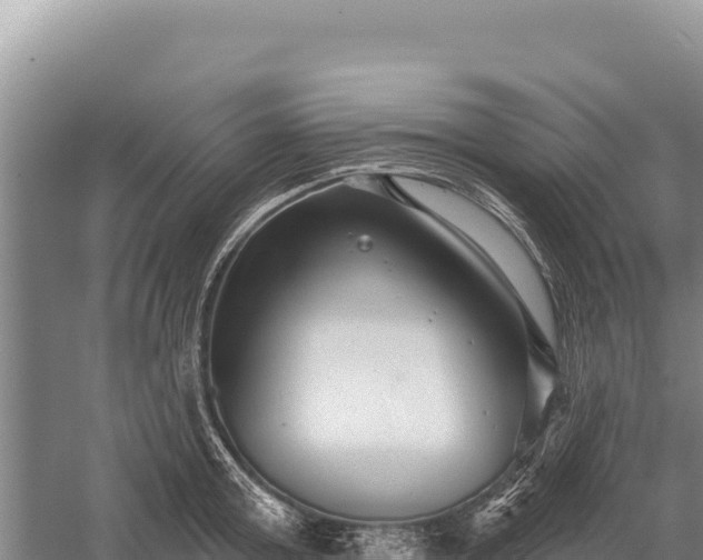 X0000059240803200510211601