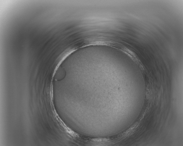 X0000059240804200510211601