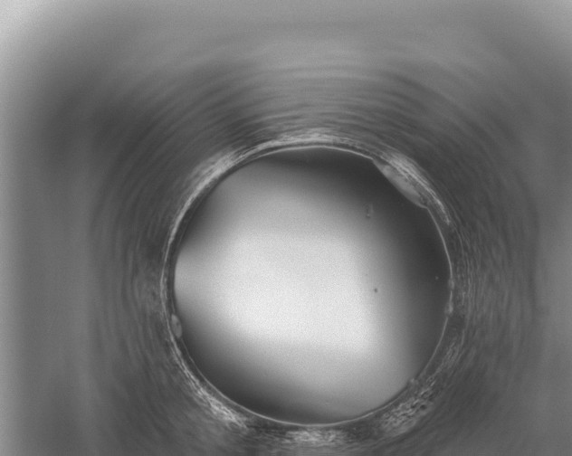 X0000059240805200510211601