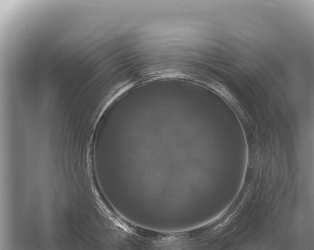 X0000059240806200510211601