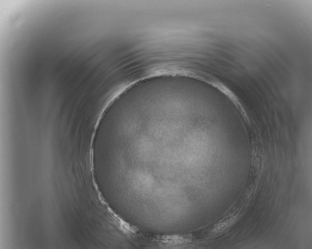 X0000059240807200510211601