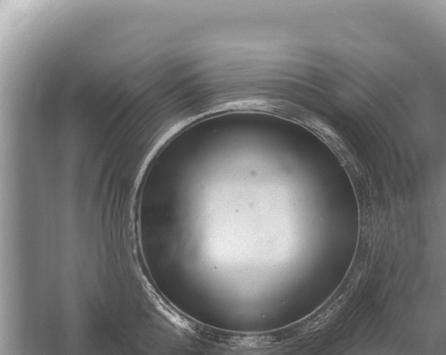 X0000059240808200510211601