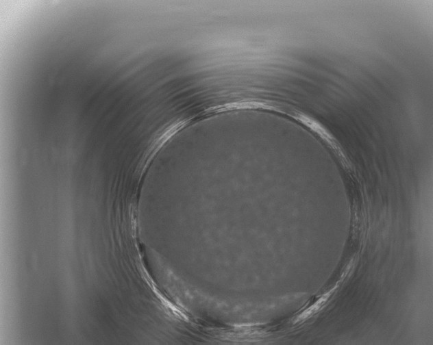 X0000059240809200510211600