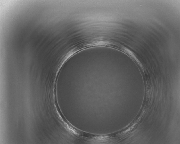 X0000059240810200510211600