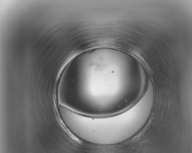 X0000059240812200510211600