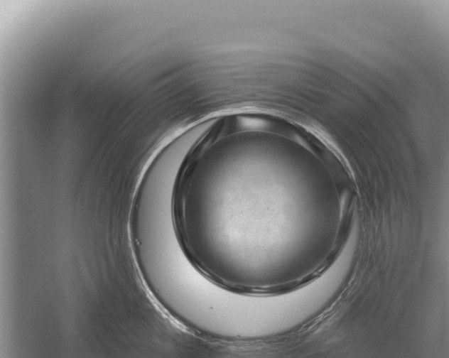 X0000059240813200510211600