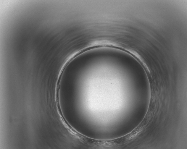 X0000059240815200510211600