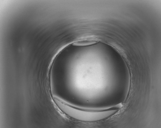 X0000059240816200510211600