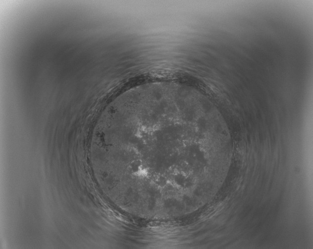 X0000059240817200510211600