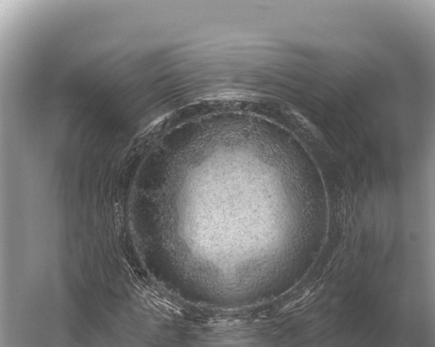 X0000059240821200510211600