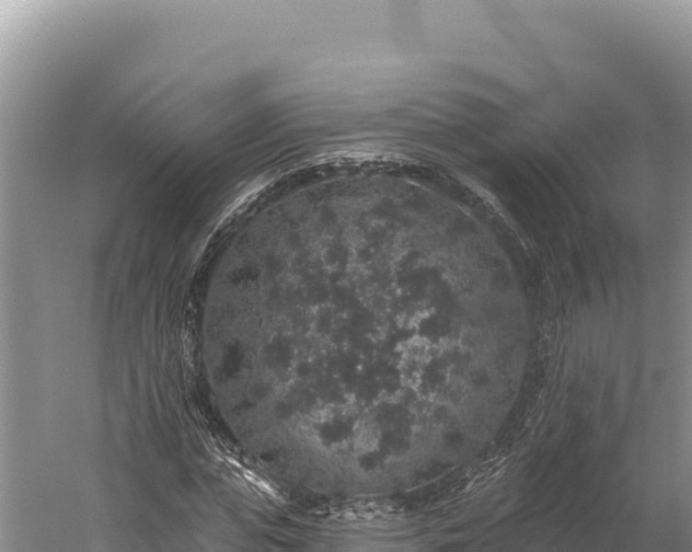 X0000059240823200510211600