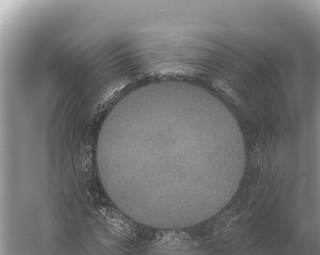 X0000059240824200510211600