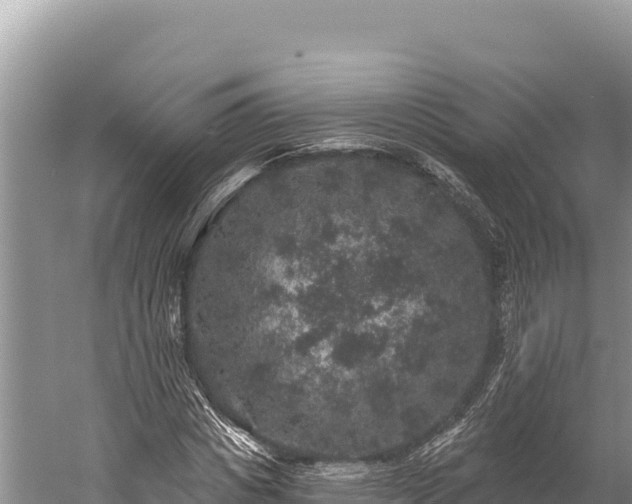 X0000059240825200510211600