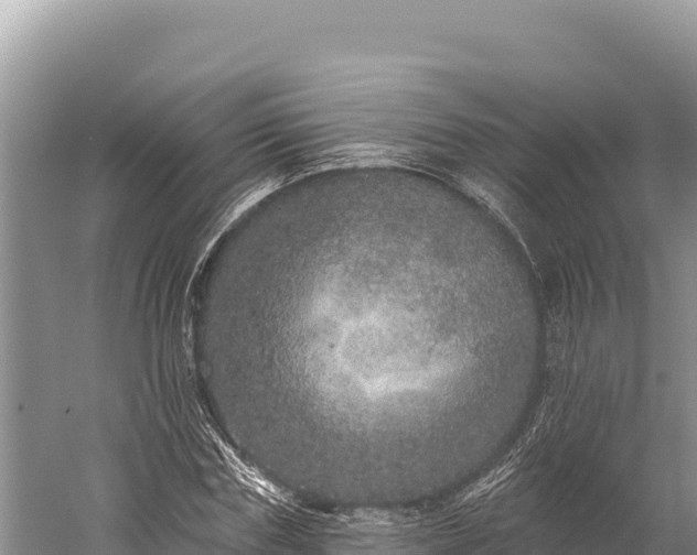 X0000059240827200510211600