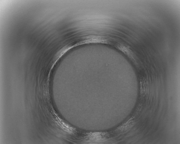 X0000059240828200510211600