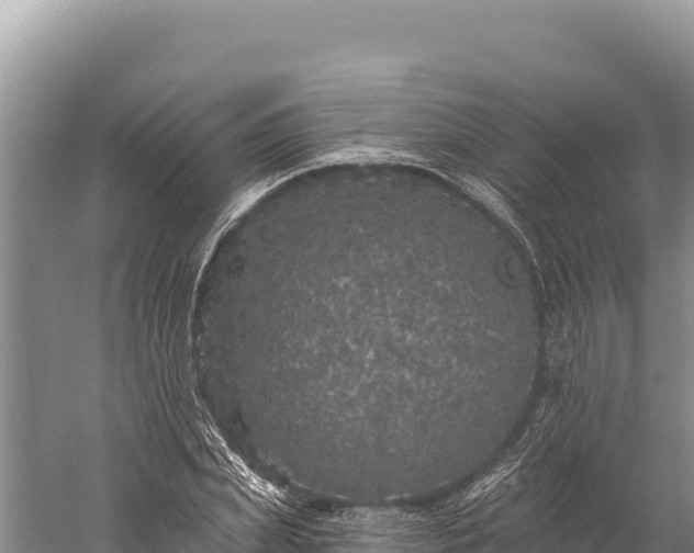 X0000059240831200510211600