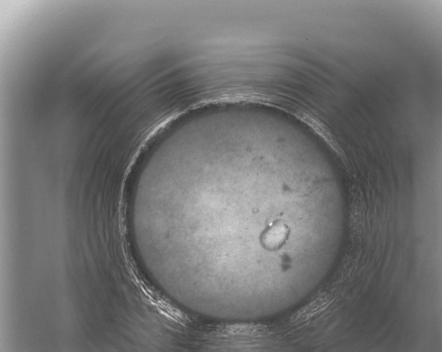 X0000059240832200510211600