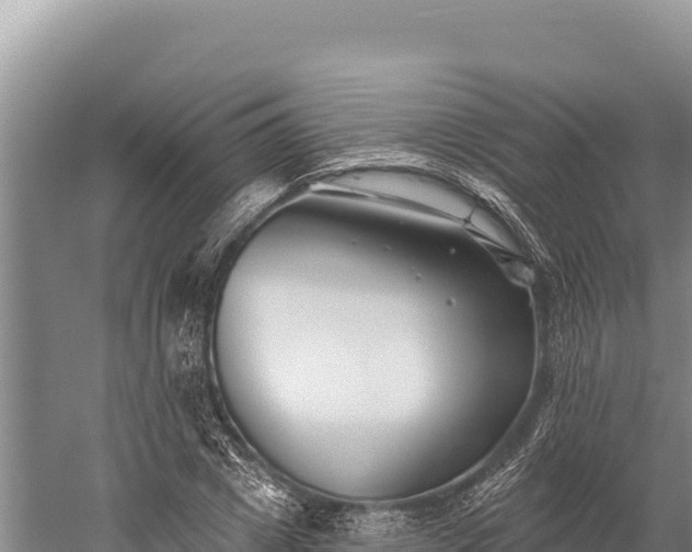 X0000059240833200510211600