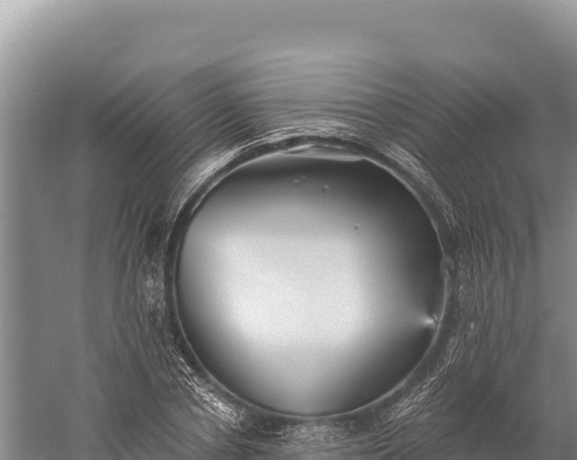 X0000059240834200510211600