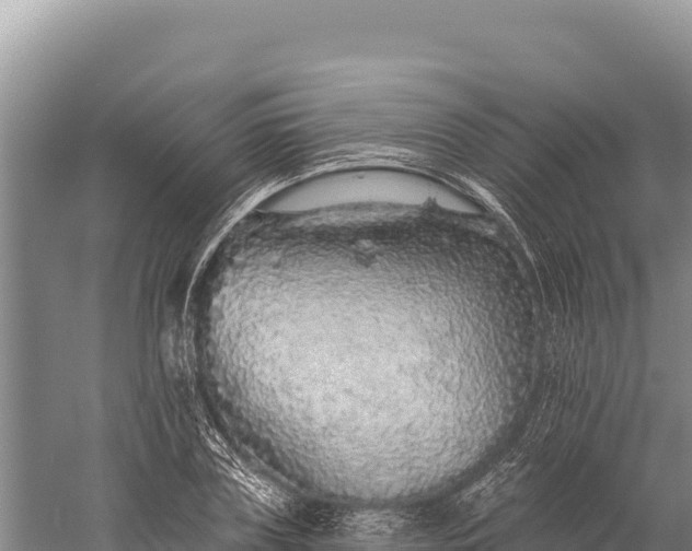 X0000059240835200510211600